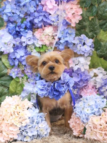 20250608ショーンくん